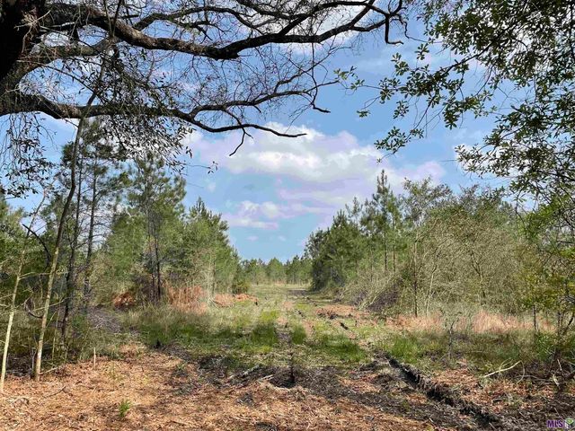 Tract 17 Lorin Wall Rd #17, Holden, LA 70744