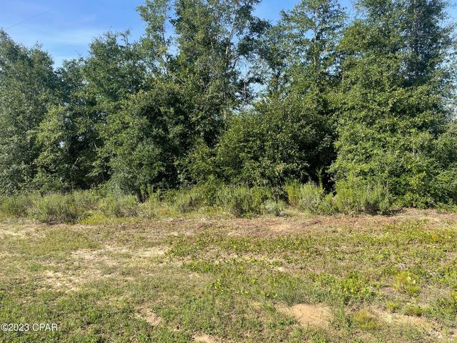 Lot 203 Fairview Rd, Alford, FL 32420