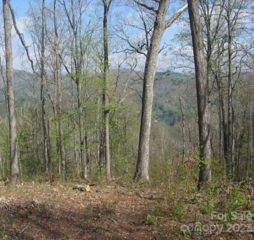 35 Greycliff Mountain Dr, Cullowhee, NC 28723