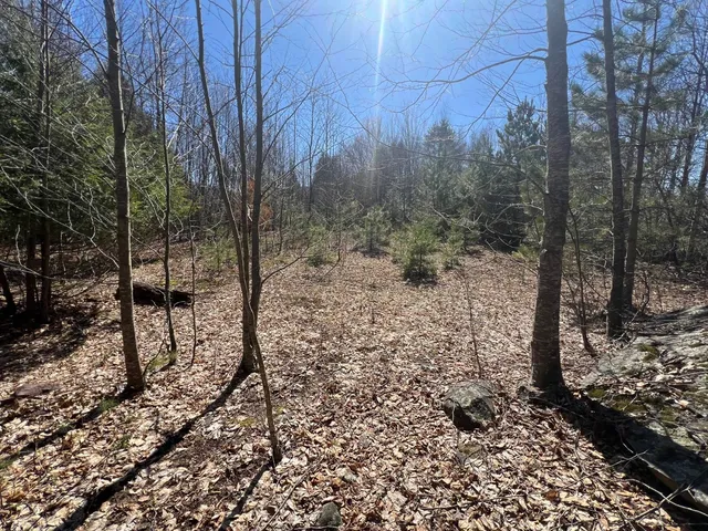 Route 23C, Tannersville, NY 12485