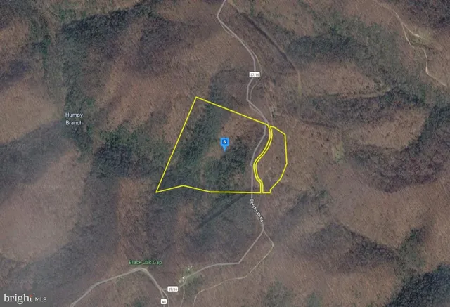 111 Beechy Branch Rd, Dunlow, WV 25511