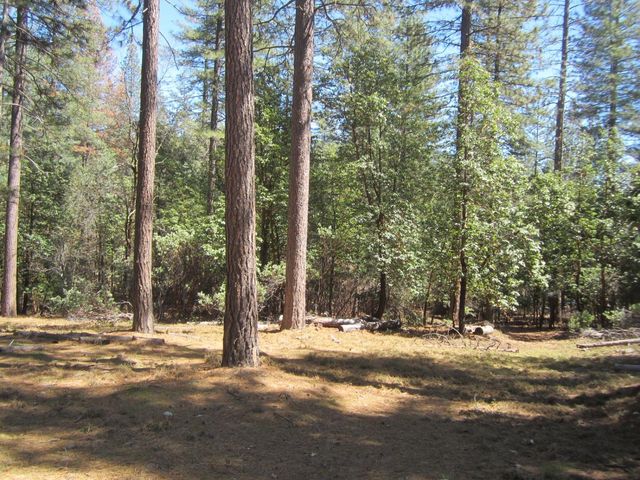 6503 Deer Canyon Ct, Placerville, CA 95667