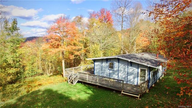 3245 Baxter Mountain Road, Downsville, NY 13755