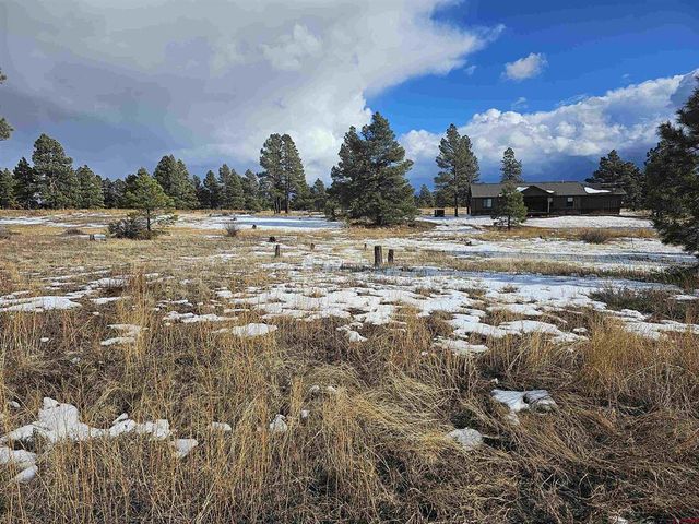 335 Domicile Dr, Pagosa Springs, CO 81147