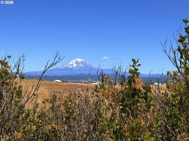 Erickson Rd #28A, Centerville, WA 98613