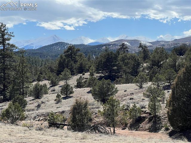 753 Duffy Loop, Cotopaxi, CO 81223