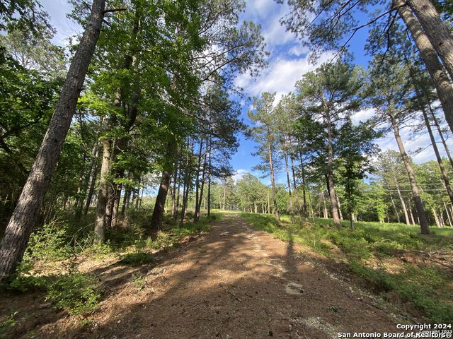 LOT 23 Three Lakes Ranch LOT 23, Centerville, TX 75833