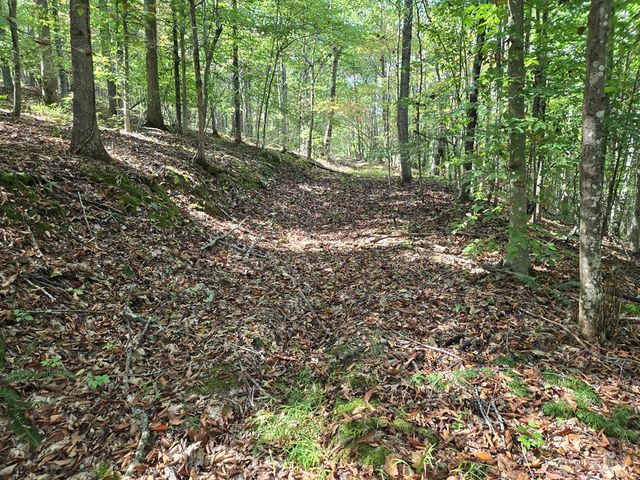 7085 Big Spruce Little Bear Rd, Otway, OH 45657