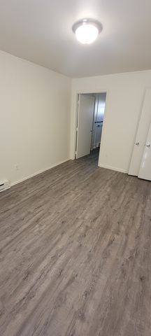 55 W  Chestnut Hill Rd #4, Newark, DE 19713