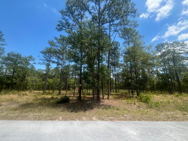 NW Tree Top Rd, Dunnellon, FL 34431