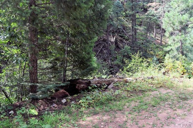 1 Middle Creek Canyon Rd   #1, Beulah, CO 81023