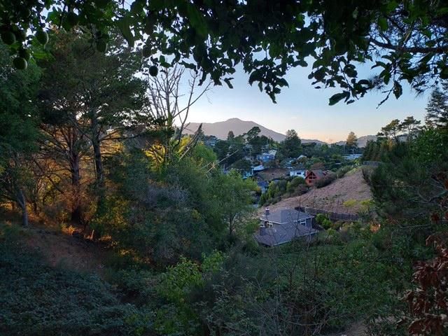 Address Not Disclosed, Mill Valley, CA 94941