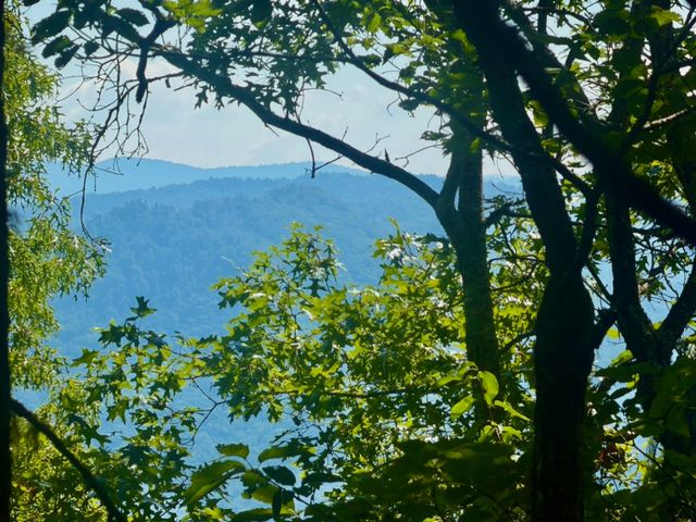 Lot 67 Phase 3 Hemlock Fls #WP067, Sylva, NC 28779