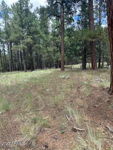 Coconino Forest Rd   #137A-0, Happy Jack, AZ 86024
