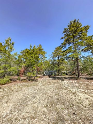 18960 Blacktail Way, Perry, FL 32348