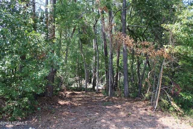 Lot 1 Octavia Drive LOT 1, Rocky Mount, NC 27804