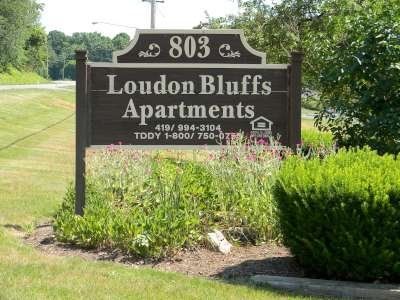 803 S  Mount Vernon Ave #6539, Loudonville, OH 44842