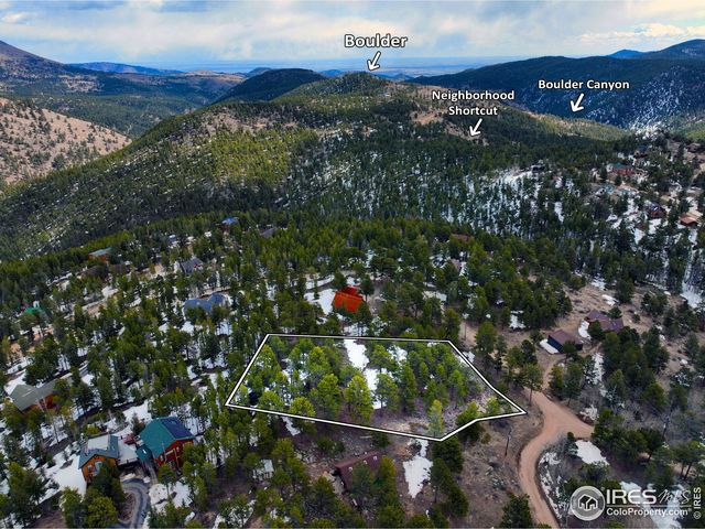45 Shady Hollow Rd, Nederland, CO 80466