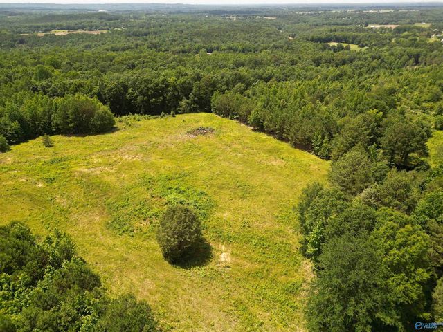 525 Overlook Rd, Blountsville, AL 35031