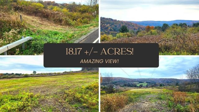 Lot 10 State Highway 41, Afton, NY 13730