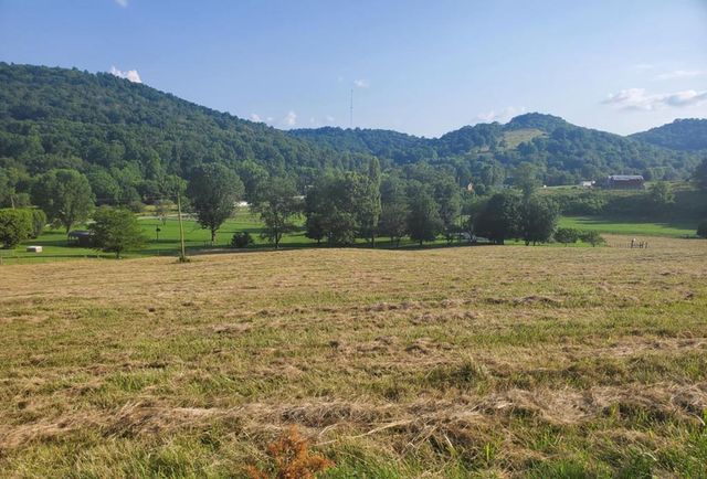 Wilkerson Hollow Ln #5, Brush Creek, TN 38547