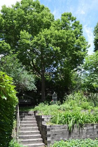 807 6th St SW, Rochester, MN 55902