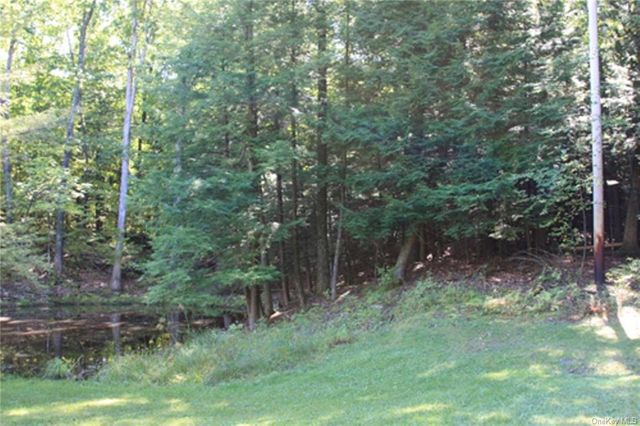  Lot 10, Overbrook Road, Dover Plains, NY 12522