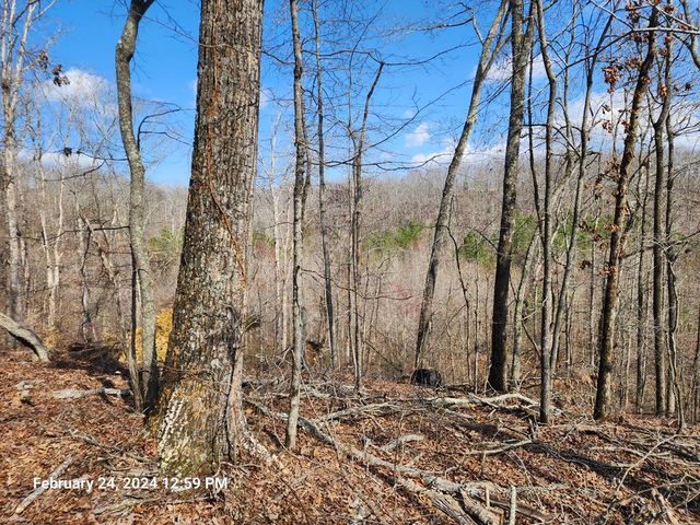 Lakeview Trl, Holladay, TN 38341