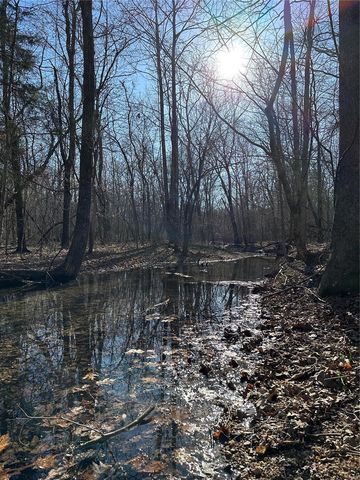 Log Rd, Patterson, MO 63956