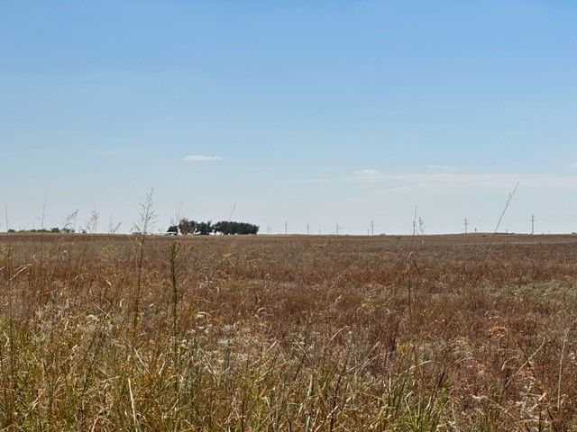 4.75 Acres Tract Dm   #3-6, Rochester, TX 79544