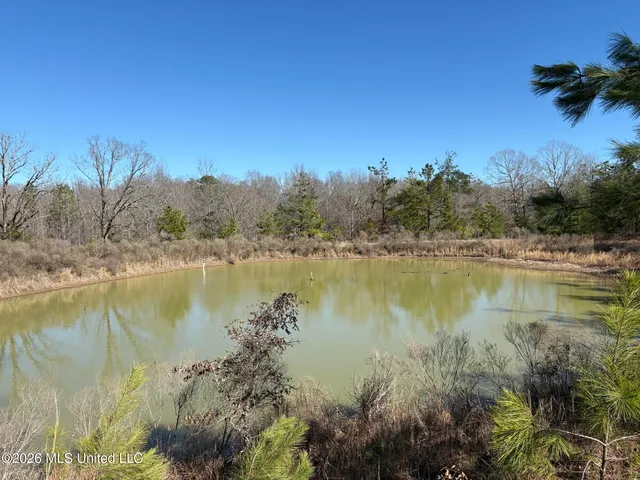 Nelia Rd, Grenada, MS 38901