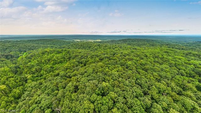 Bald Knob Stiversville Rd, Portland, OH 45770