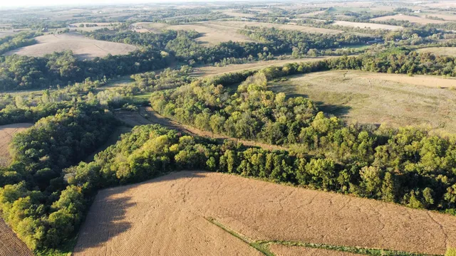 Dougherty Creek Rd, Argyle, WI 53504