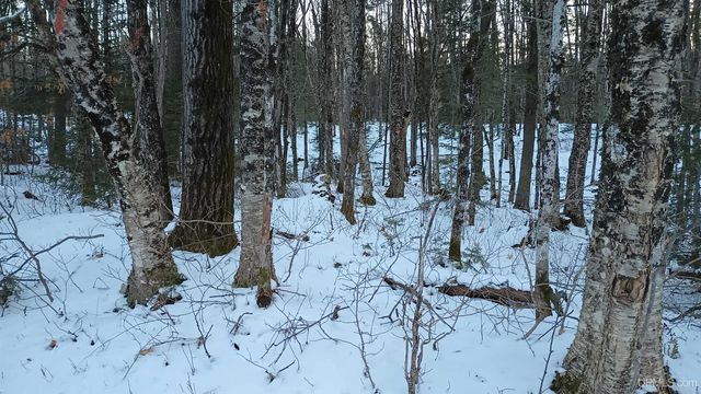 Lot 49 Hewitt Hurley #C, Hurley, WI 54534