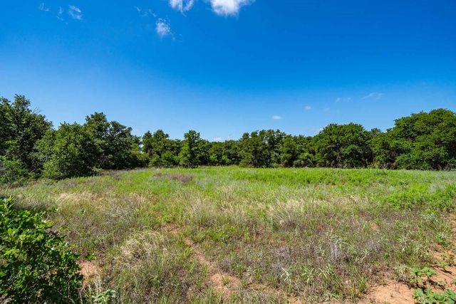 Lot 3 County Road 335, Anson, TX 79501