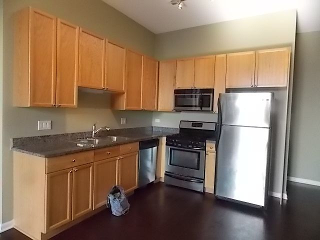 1464 S  Michigan Ave #1305, Chicago, IL 60605