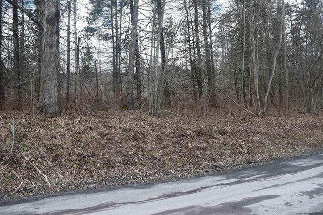 lot 5 687 Route 1, Fleischmanns, NY 12430