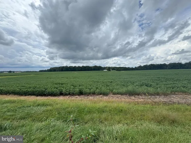11378 Timbuktu Ln, Midland, VA 22728