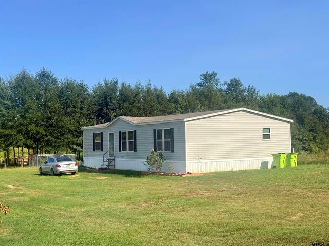 918 Vz County Road 4908, Ben Wheeler, TX 75754