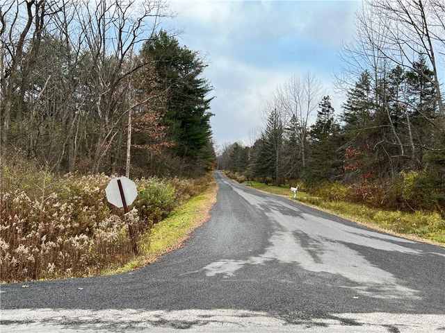 Parcel A South Rd   #7, Brooktondale, NY 14817