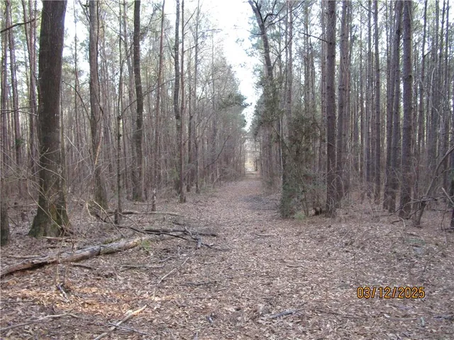 Obie Smith Rd, Atlanta, LA 71404
