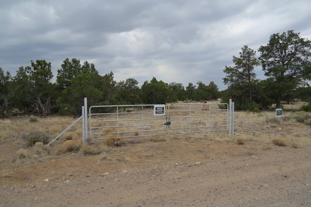 701 Moreno Hill Rd #35A, Fence Lake, NM 87315