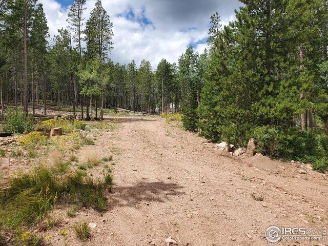 51 Timicua Ct, Red Feather Lakes, CO 80545