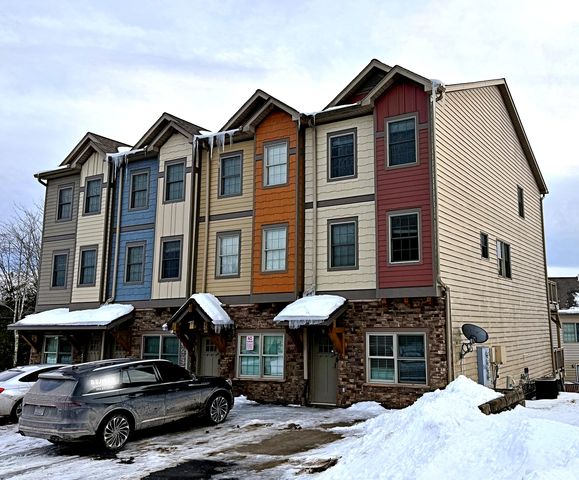 31 Creekside Dr, Snowshoe, WV 26209