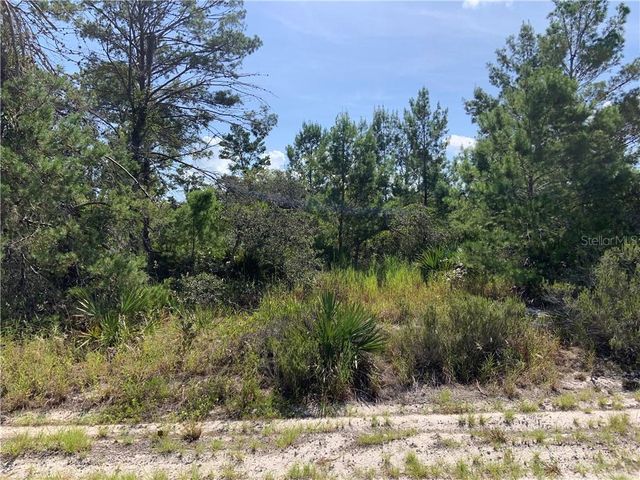436 Keos Ave NE, Lake Placid, FL 33852