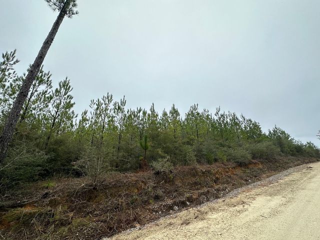 Tract 6418 N  Mattox Springs Rd   #N1, Caryville, FL 32427