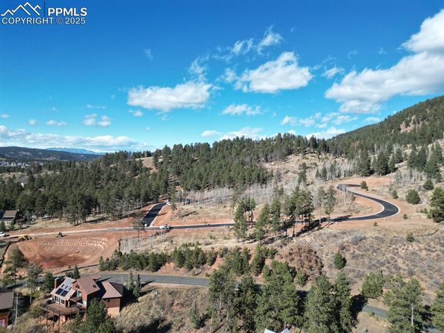 1425 Red Haven Pl, Woodland Park, CO 80863