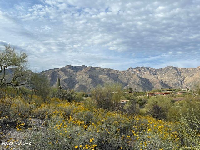 N  Camino Del Mar #467, Tucson, AZ 85718