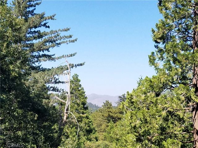 Lake Forest Dr   #3, Twin Peaks, CA 92391