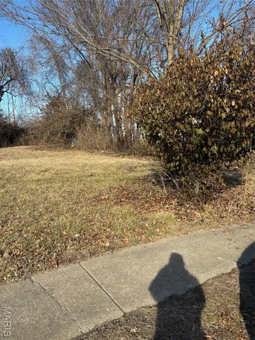 335 Electric St, Saint Louis, MO 63122